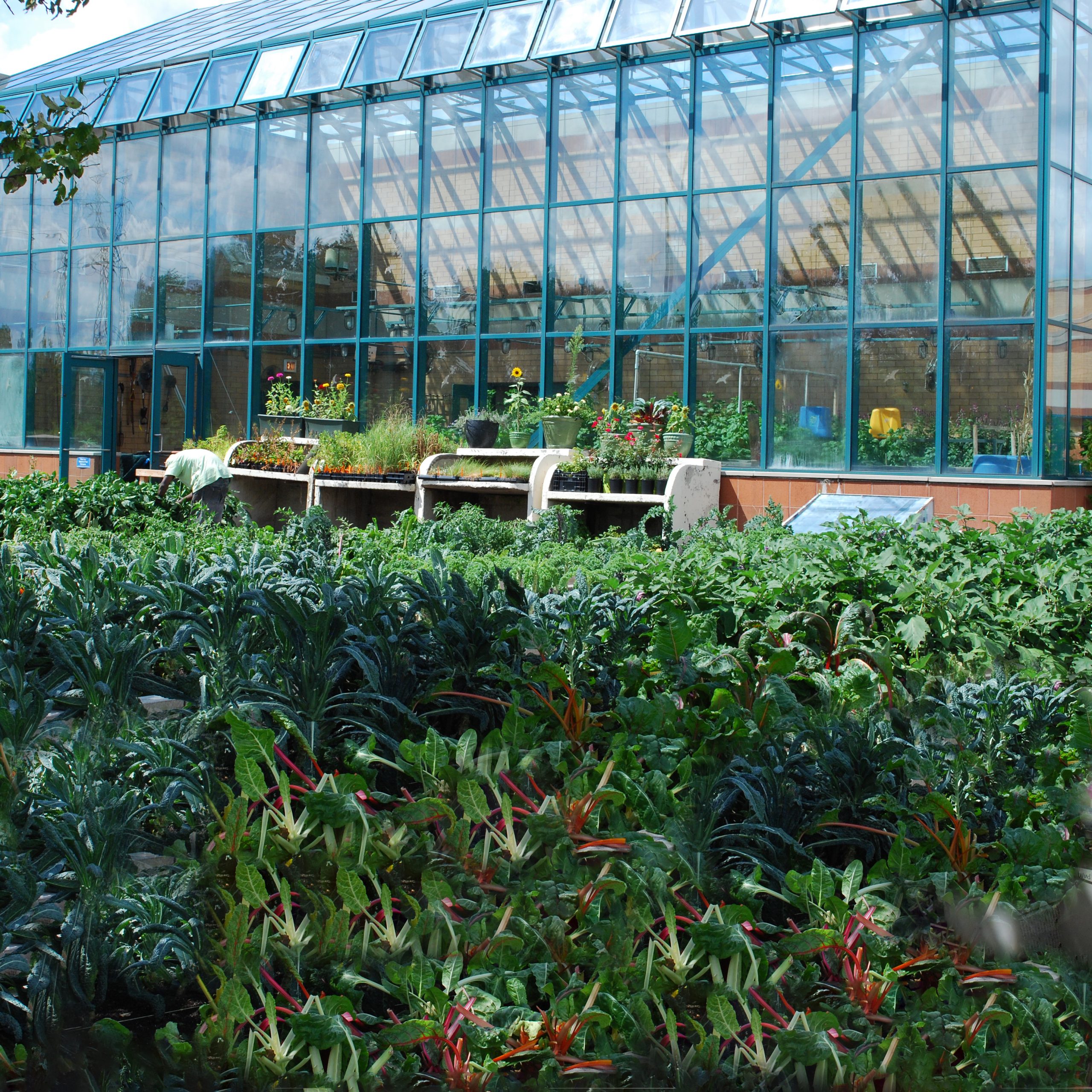 GrowTech Greenhouses