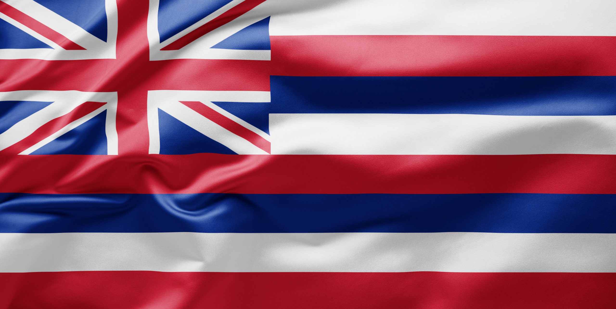 Hawaii State Flag