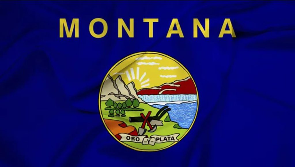 Montana Flag