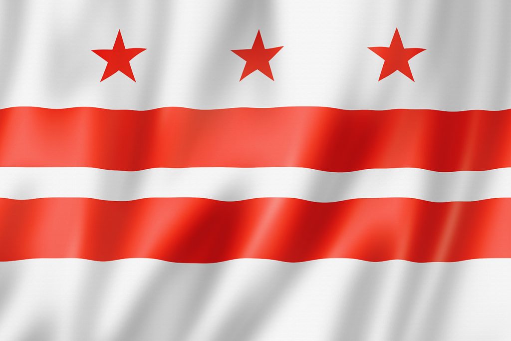 Washington DC Flag