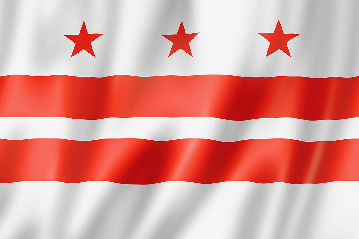 Washington DC Flag