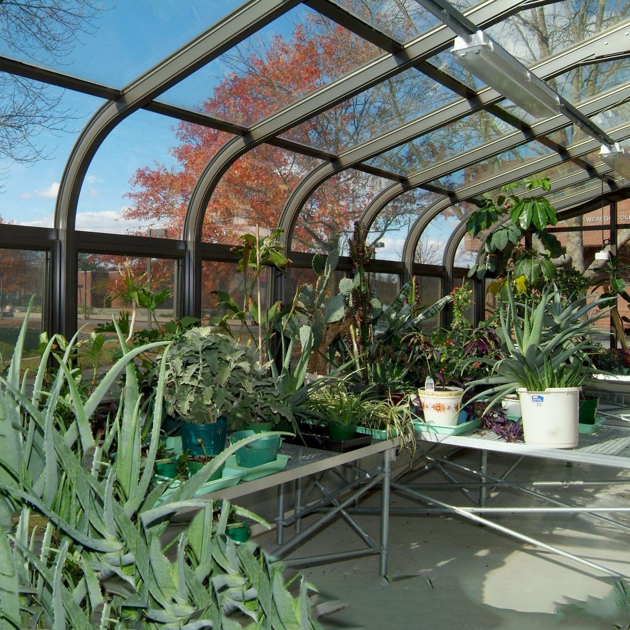 Classroom Greenhouses Core Curriculum Cultivated Crystal Structures