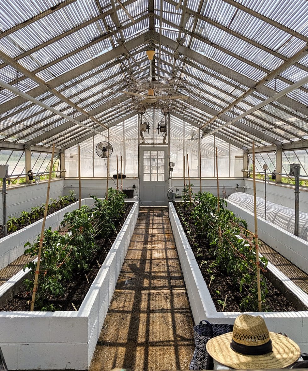 Oak Spring Garden Foundation Crystal Structures Glazing