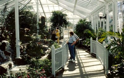 What is the difference: Greenhouse, sunroom, and solariums