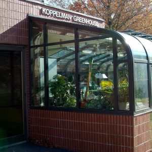 bristol_curve_lt2-1-scaled