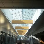 thibideaux-ridgelight